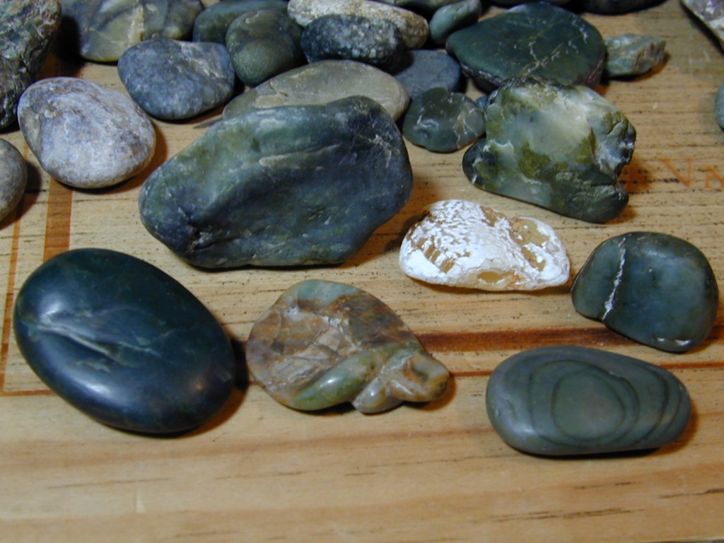 Jade Ray Collected on Ocean Beach.